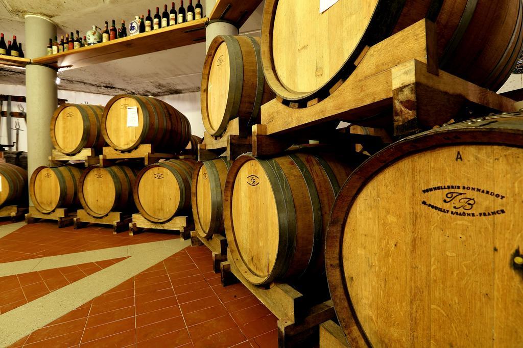 Agriturismo Trere Faenza Bagian luar foto