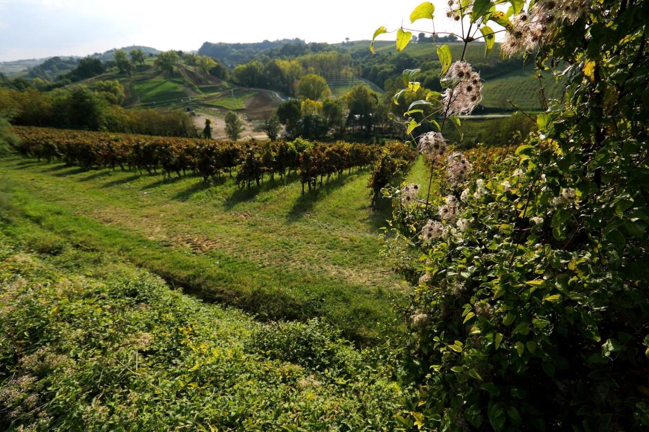Agriturismo Trere Faenza Bagian luar foto